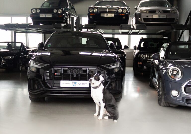 Knoke Automobile Finanzierung von Gebrauchtwagen in Stockeldorf